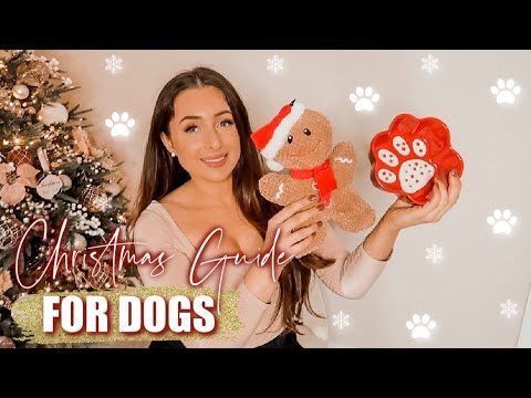 CHRISTMAS GIFT GUIDE FOR YOUR DOG! PERFECT AFFORDABLE GIFTS FOR YOUR FUR BABY
