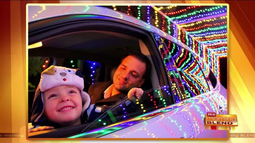 Enjoy Southeastern Wisconsin's Most Dazzling Christmas Light Display!