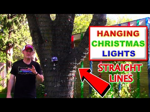 How To Hang Christmas Lights In Trees | Straight Lines!!!