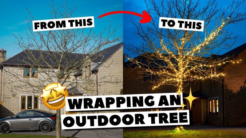 How do I install string lights on an outdoor tree for Christmas?