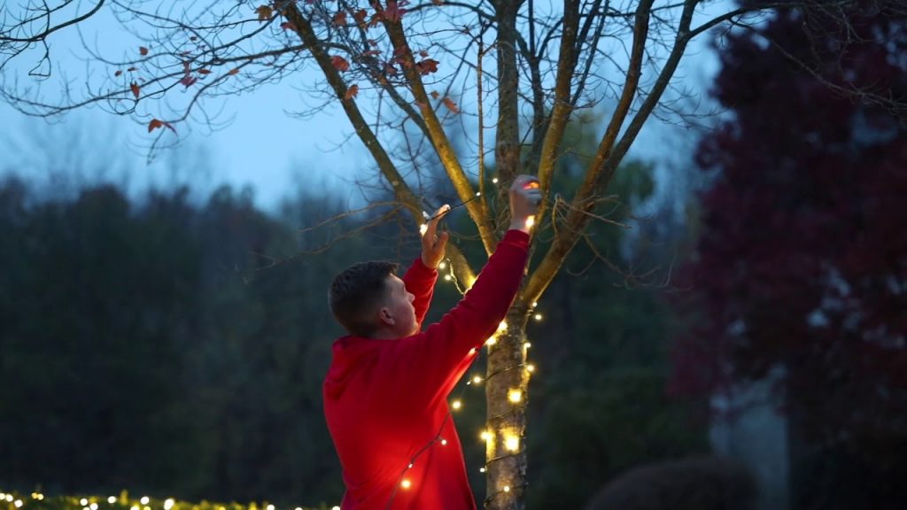 Tip From a Pro – Christmas Light Series (3/10) How to spiral-canopy wrap a tree